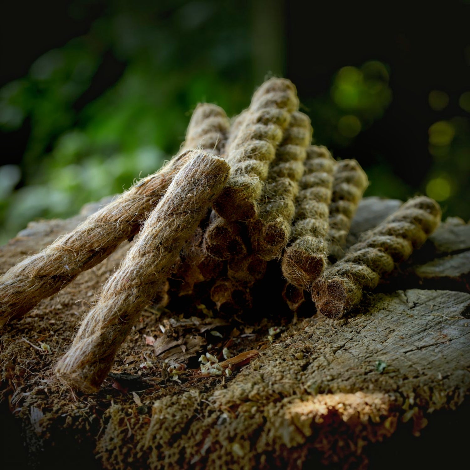 Fat Rope Zunder (2er-Set)