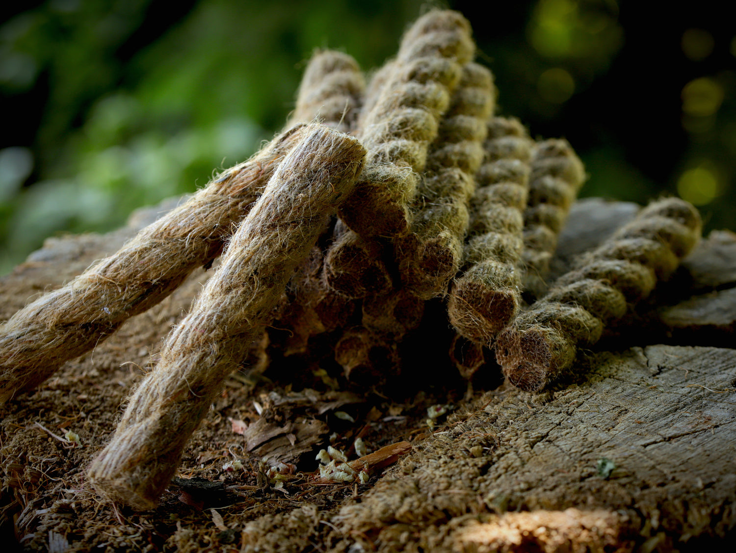 10g natural tinder (wigwam - like cattail)