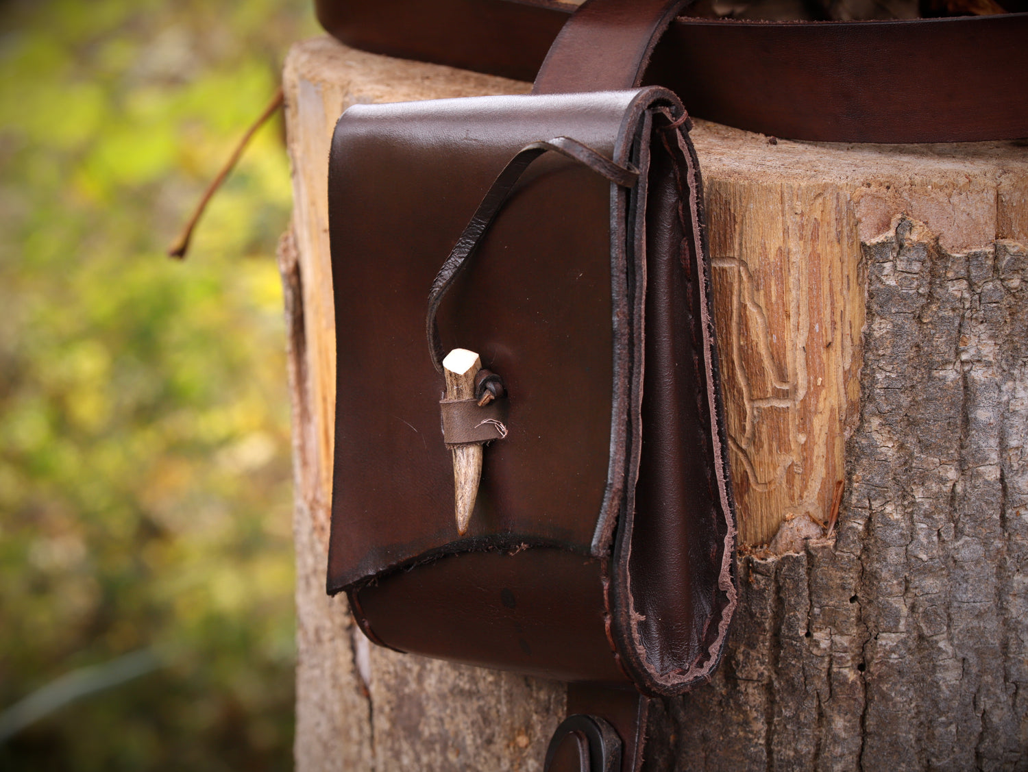 Waldläufer-Schultergürtel