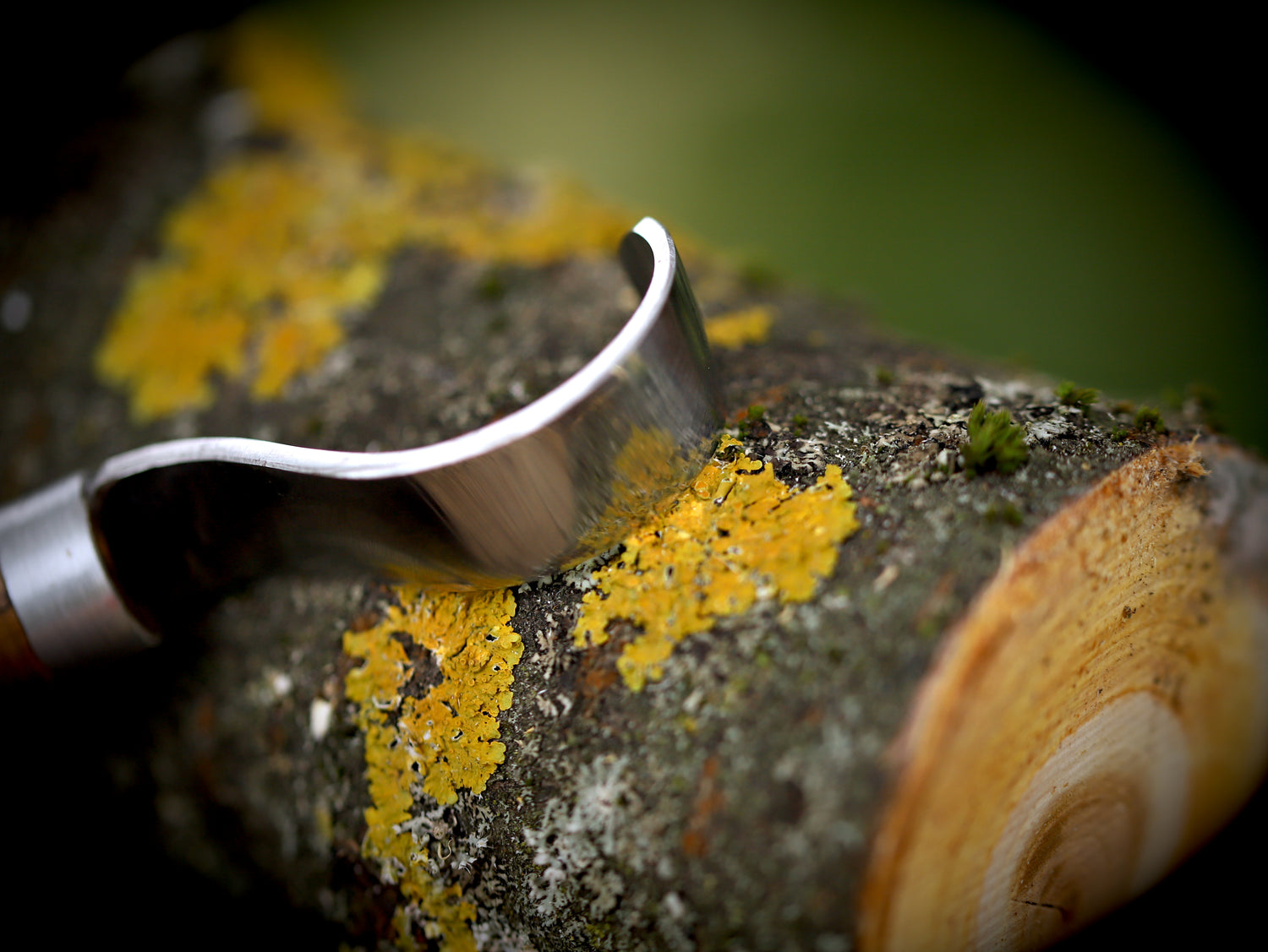 Premium spoon knife