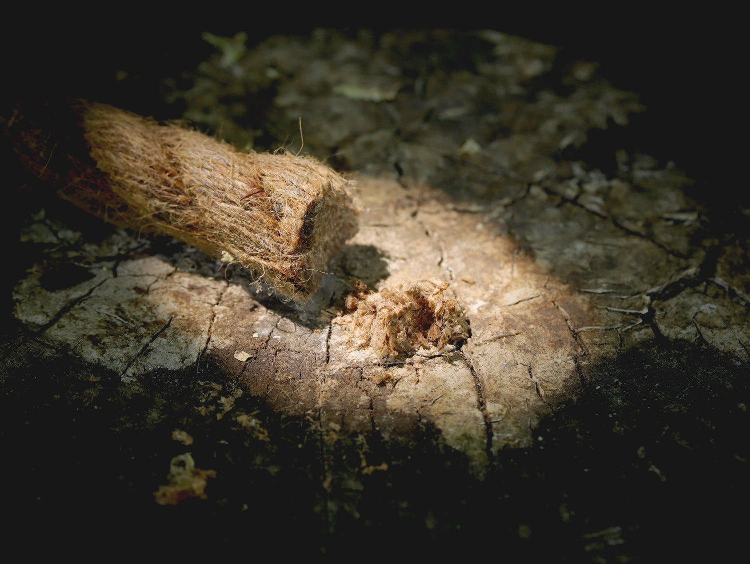 10g natural tinder (wigwam - like cattail)