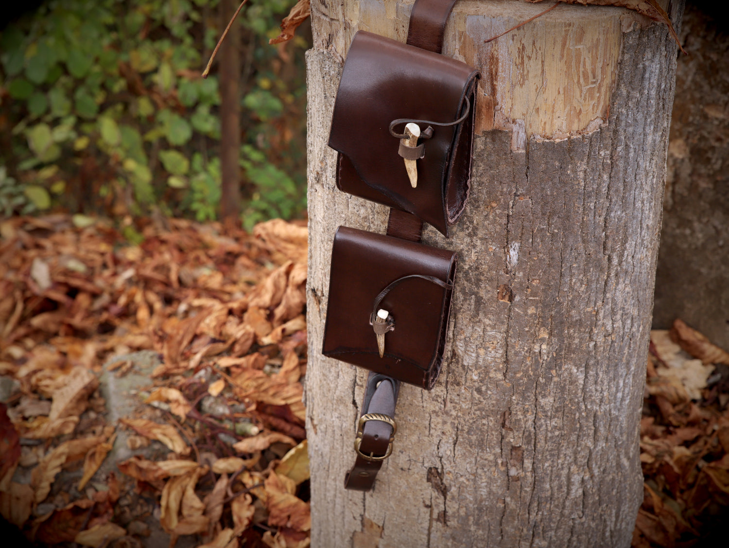 Waldläufer-Schultergürtel