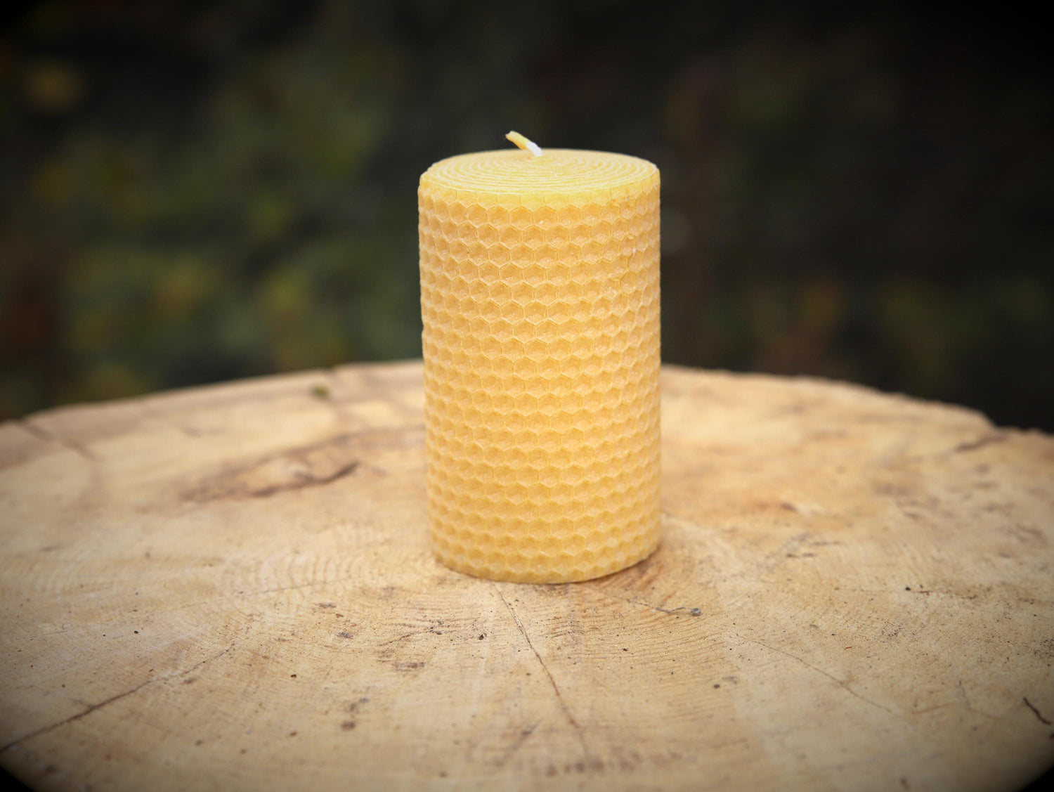 handgerollte Bienenwachskerze
