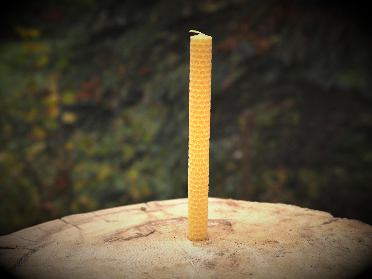 handgerollte Bienenwachskerze