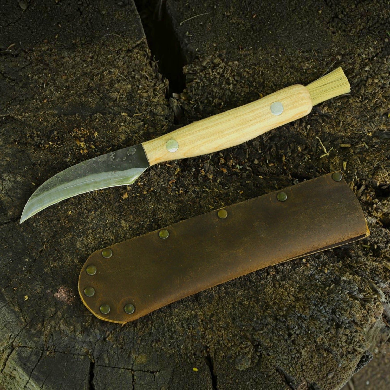 Pilzmesser mit Bürste