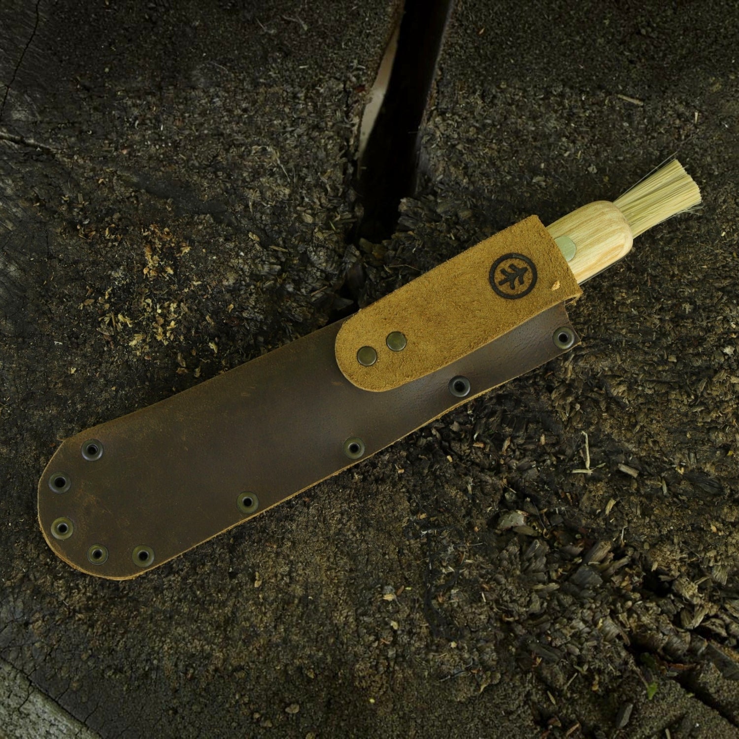 Pilzmesser mit Bürste