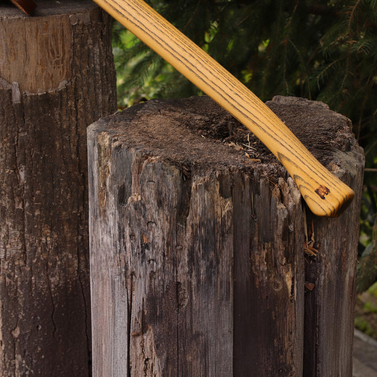 Kellokoski Kemi Forstaxt