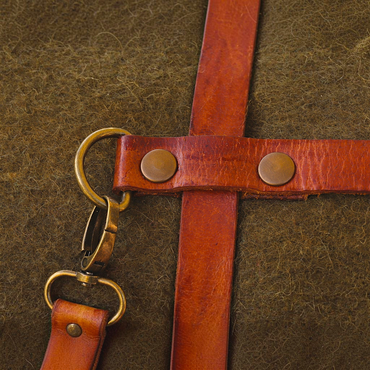 Leder-Deckenhalter & Bedroll-Tragesystem