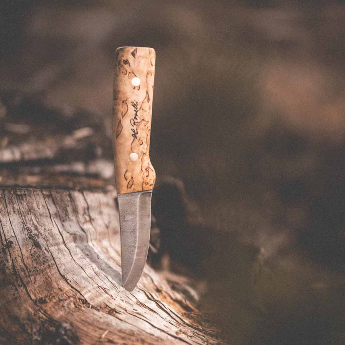 Roselli R100F Jagdmesser Fulltang (Kohlenstoffstahl)