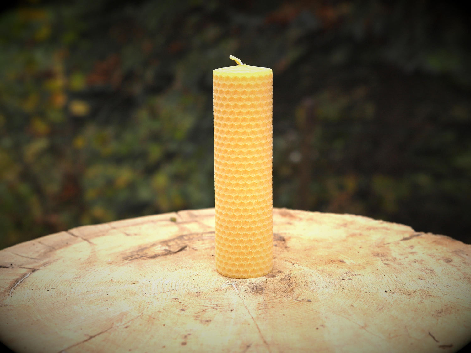 handgerollte Bienenwachskerze