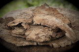 Zunderschwamm (50g Vorratspack)