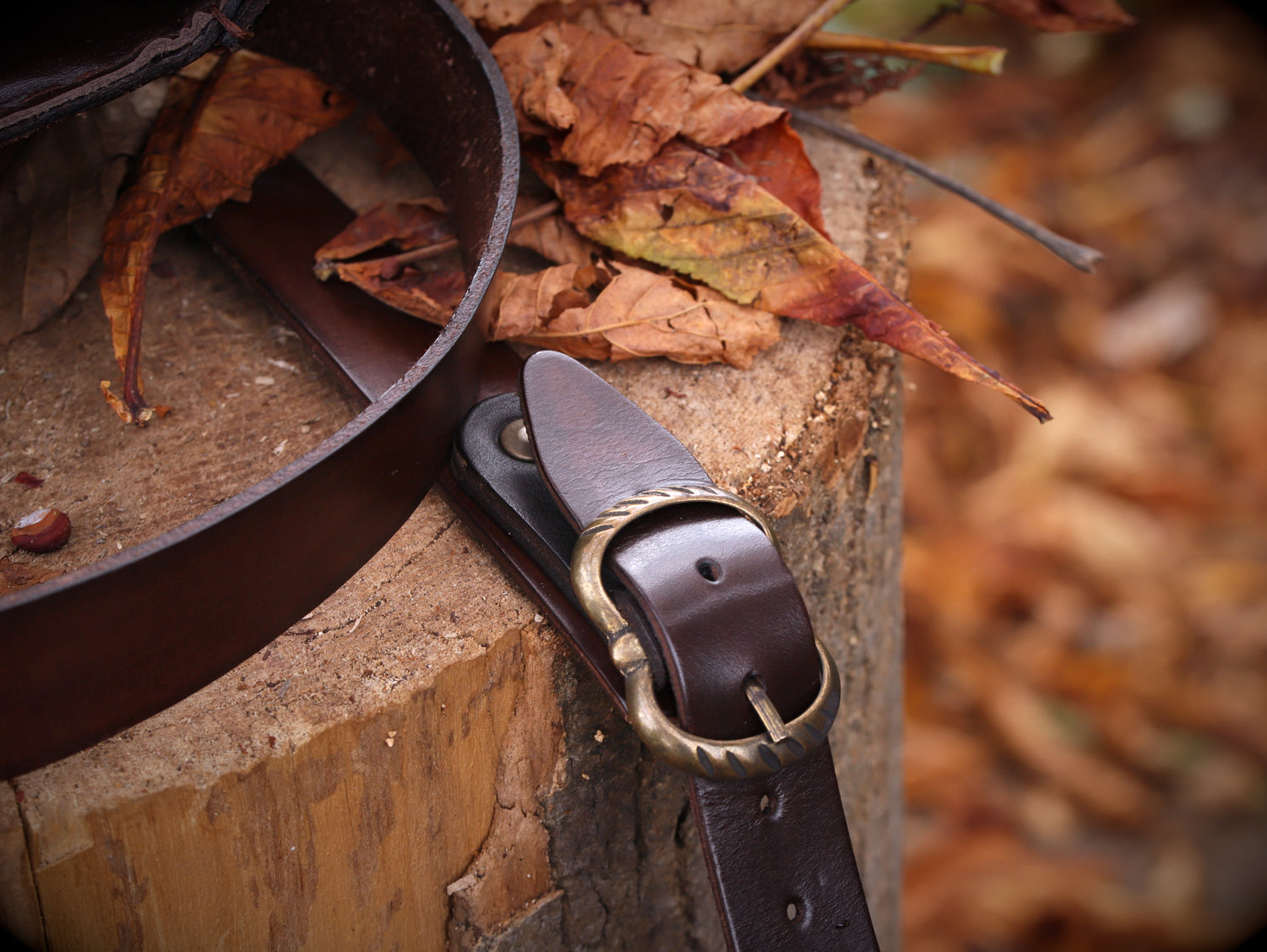 Waldläufer-Schultergürtel