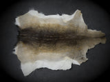 Fallow deer summer fur, 2nd choice