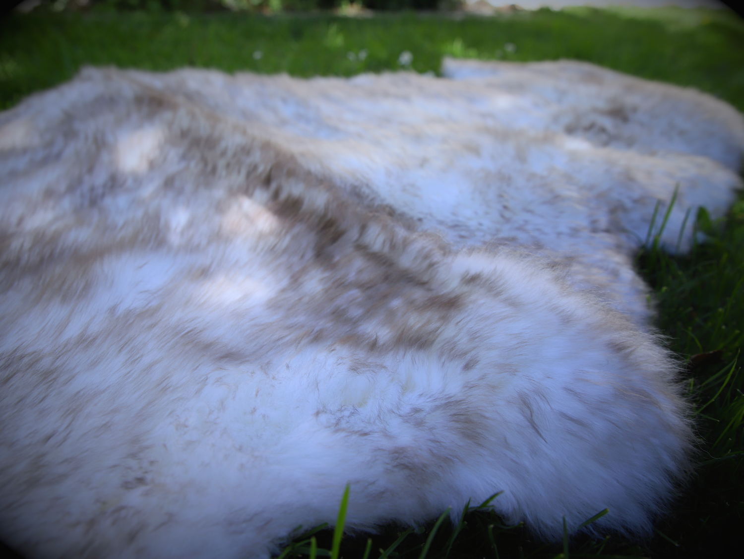 XXL sheepskin, flamed, very soft