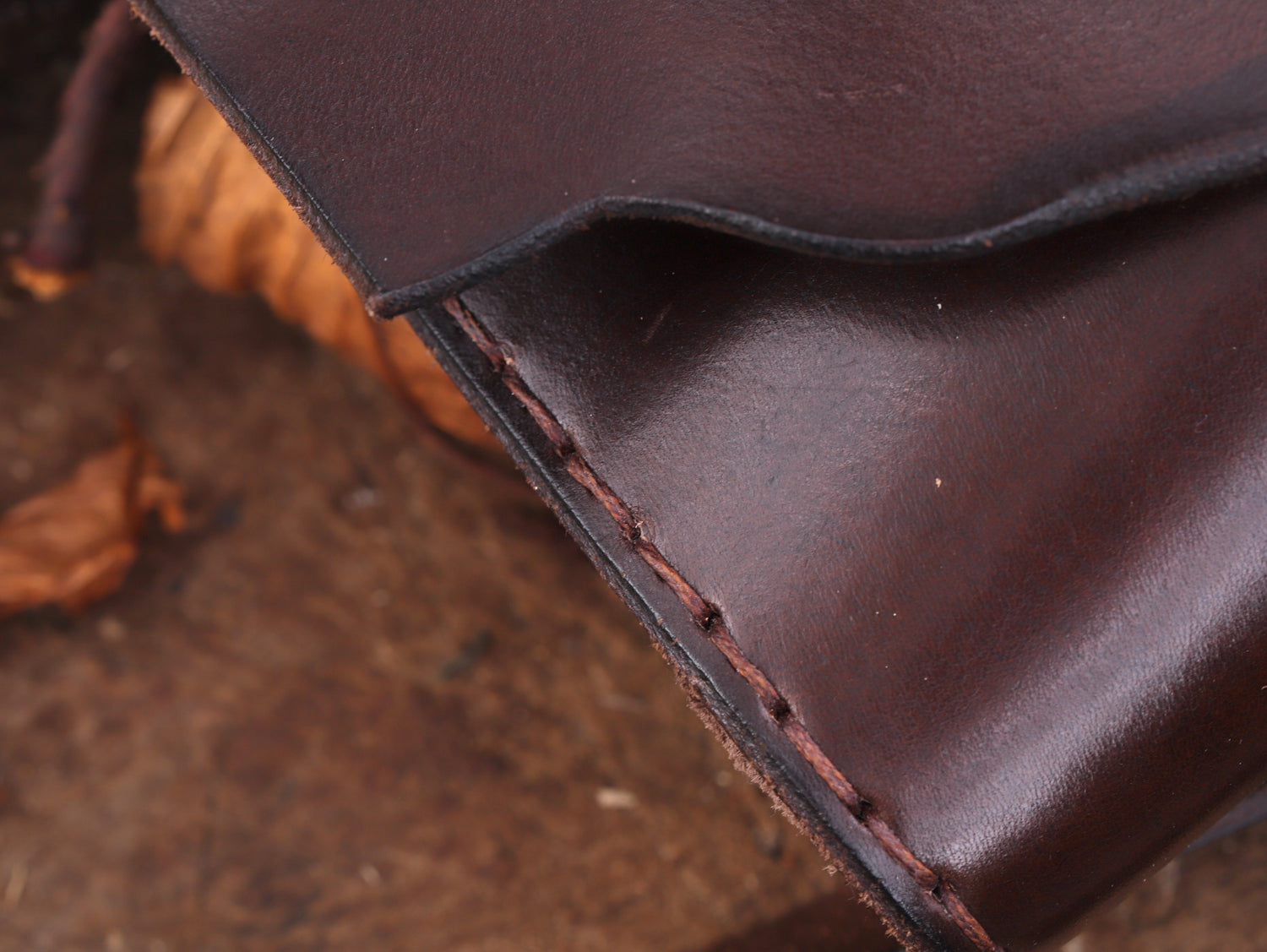 Waldläufer-Schultergürtel