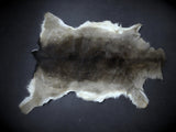 Winterfell fallow deer brown-white, 2nd choice