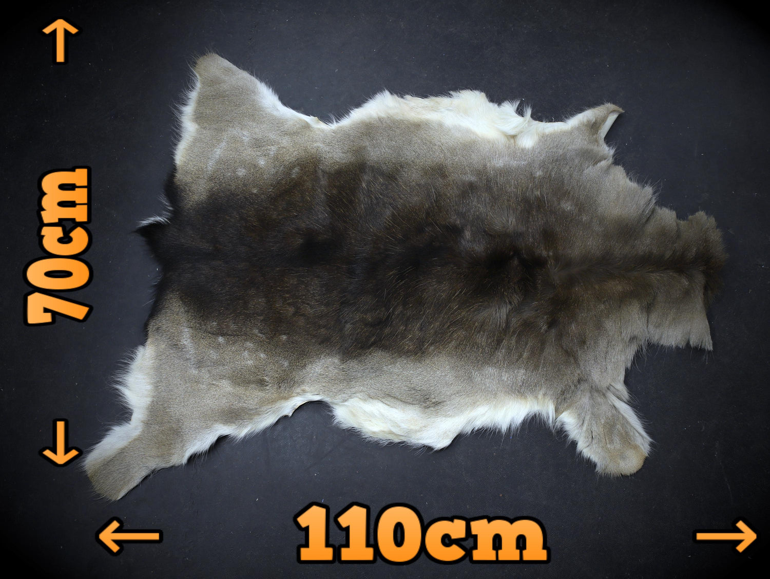 Winterfell fallow deer brown-white, 2nd choice