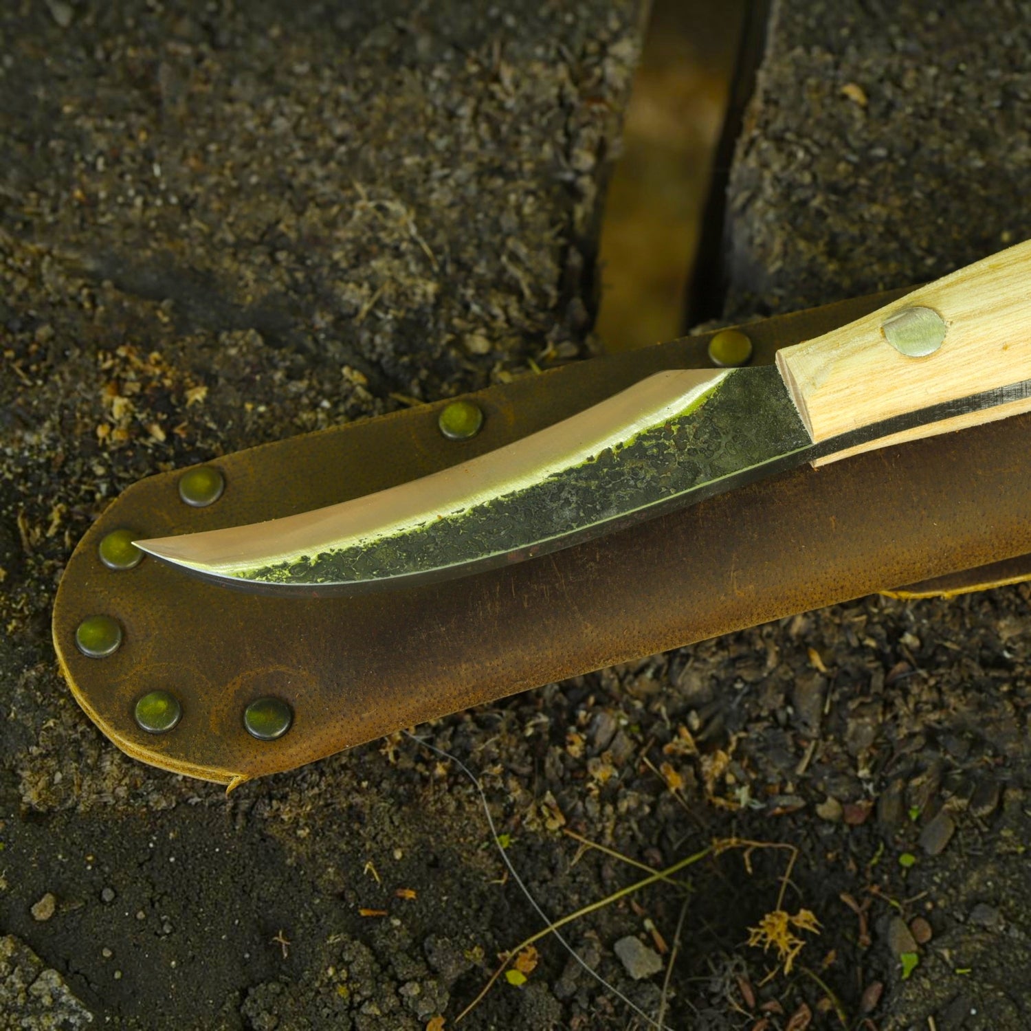 Pilzmesser mit Bürste
