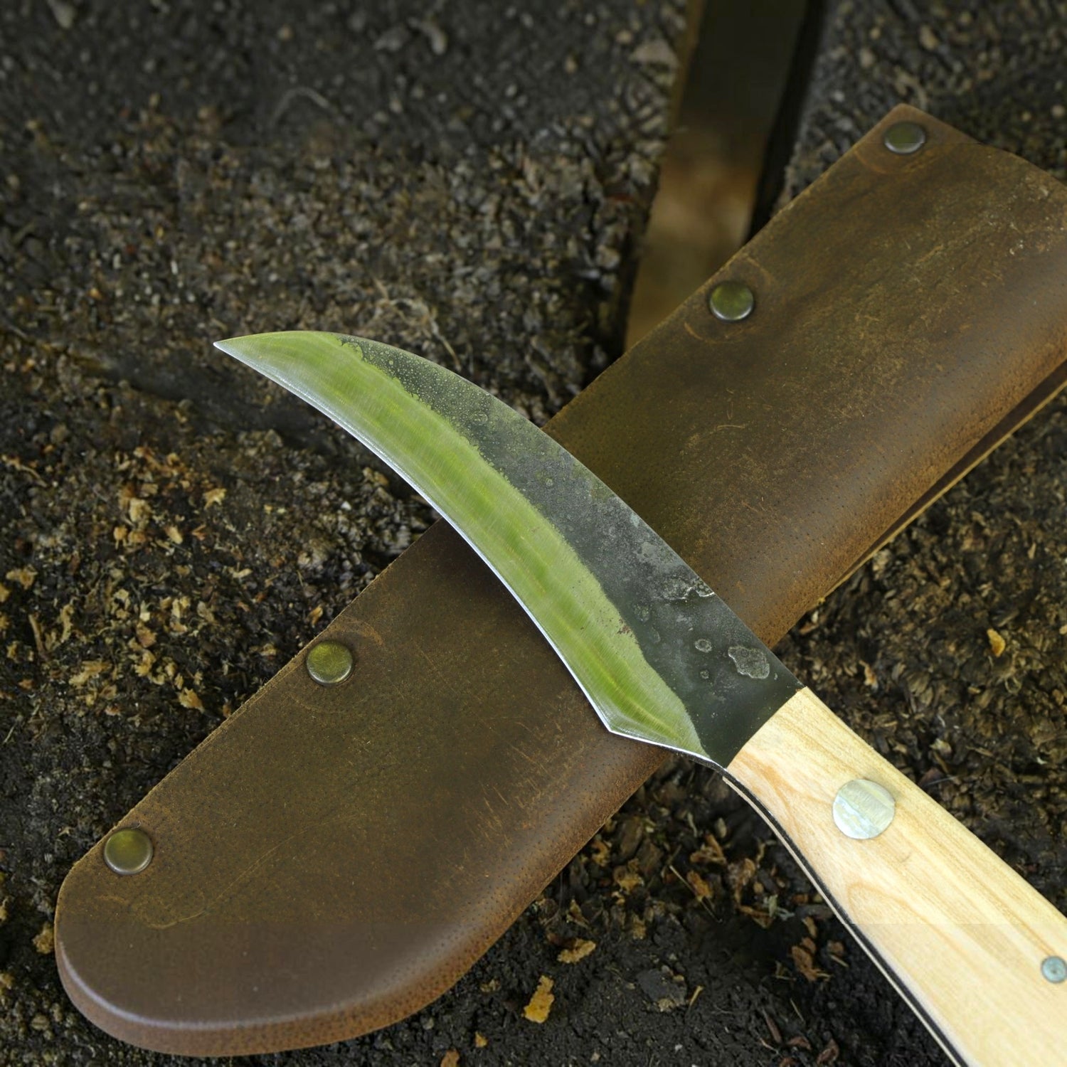 Pilzmesser mit Bürste