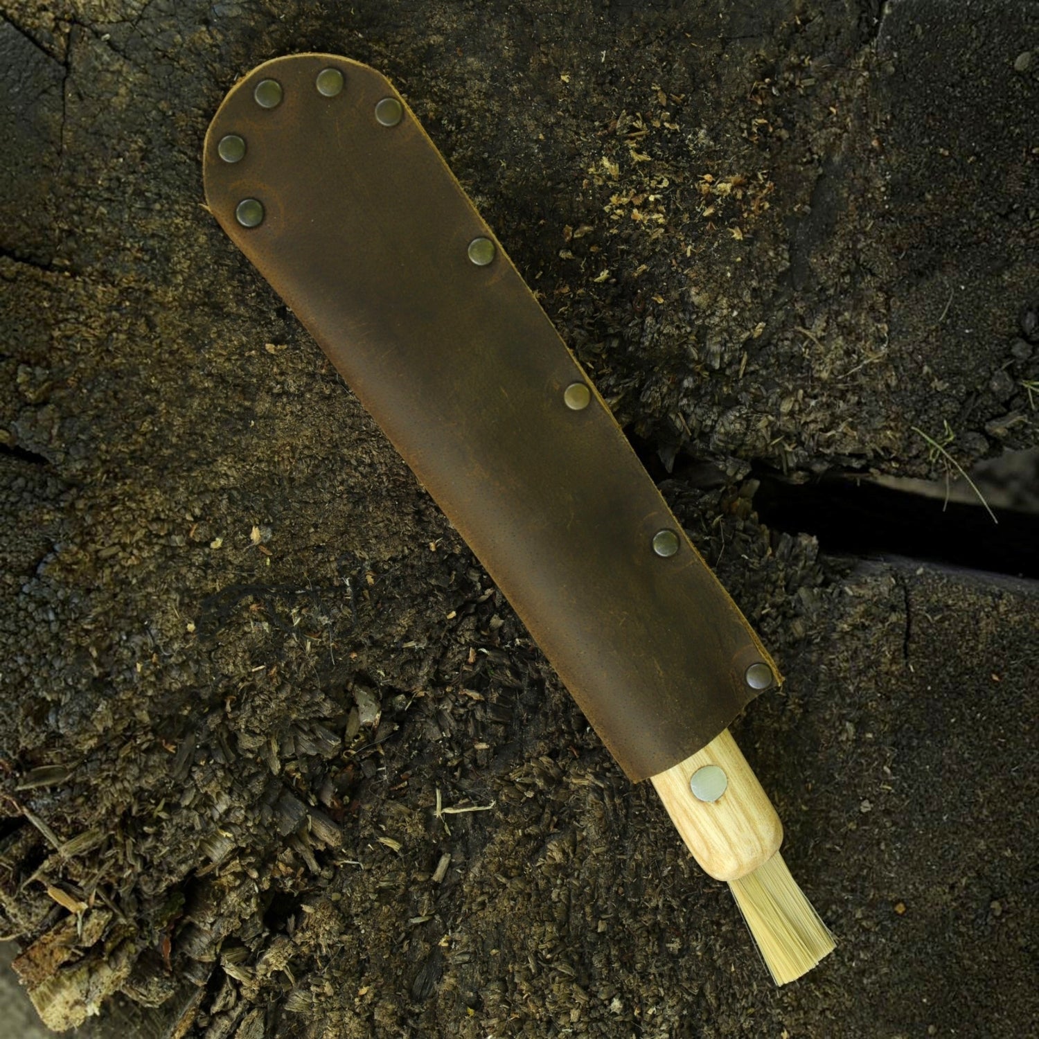 Pilzmesser mit Bürste