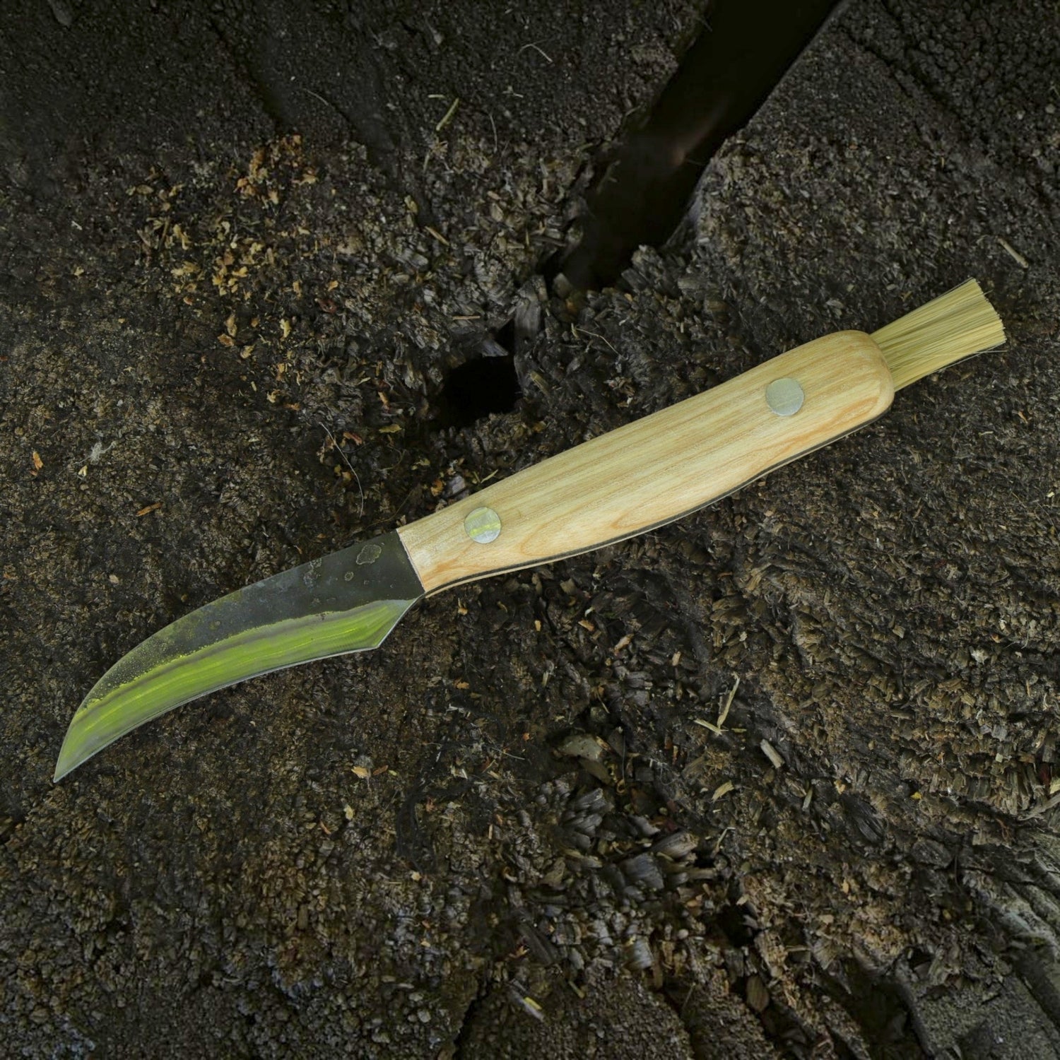 Pilzmesser mit Bürste