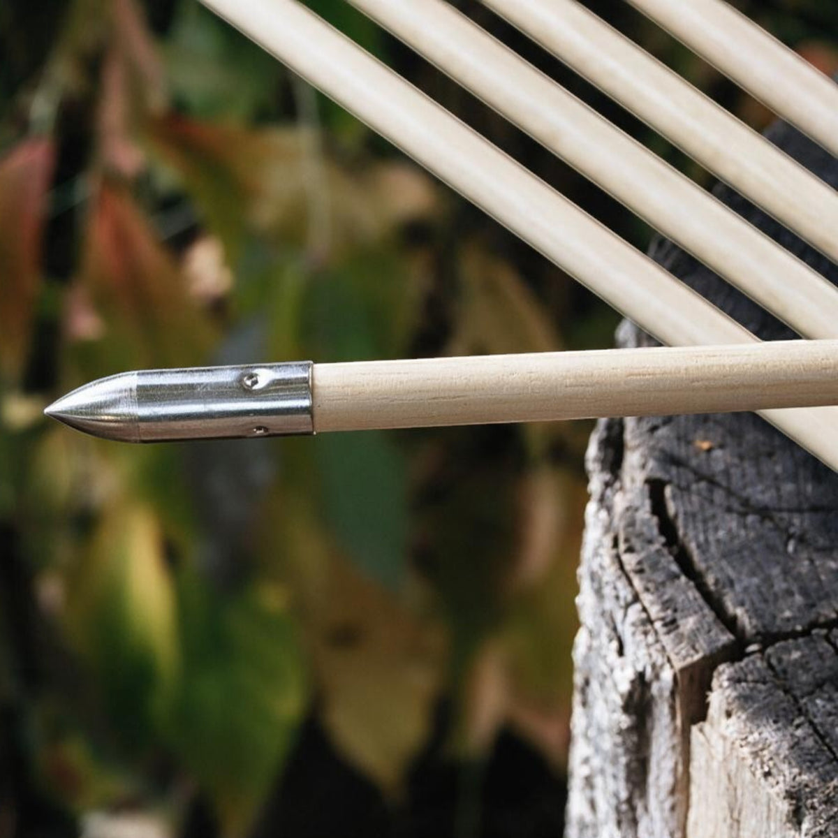 Traditionelle Holzpfeile mit Naturfedern