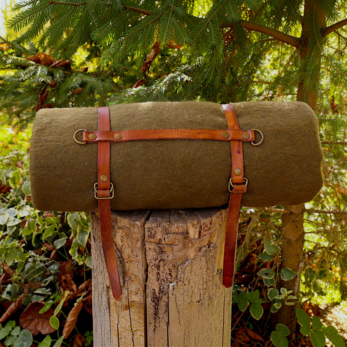 Leder-Deckenhalter & Bedroll-Tragesystem