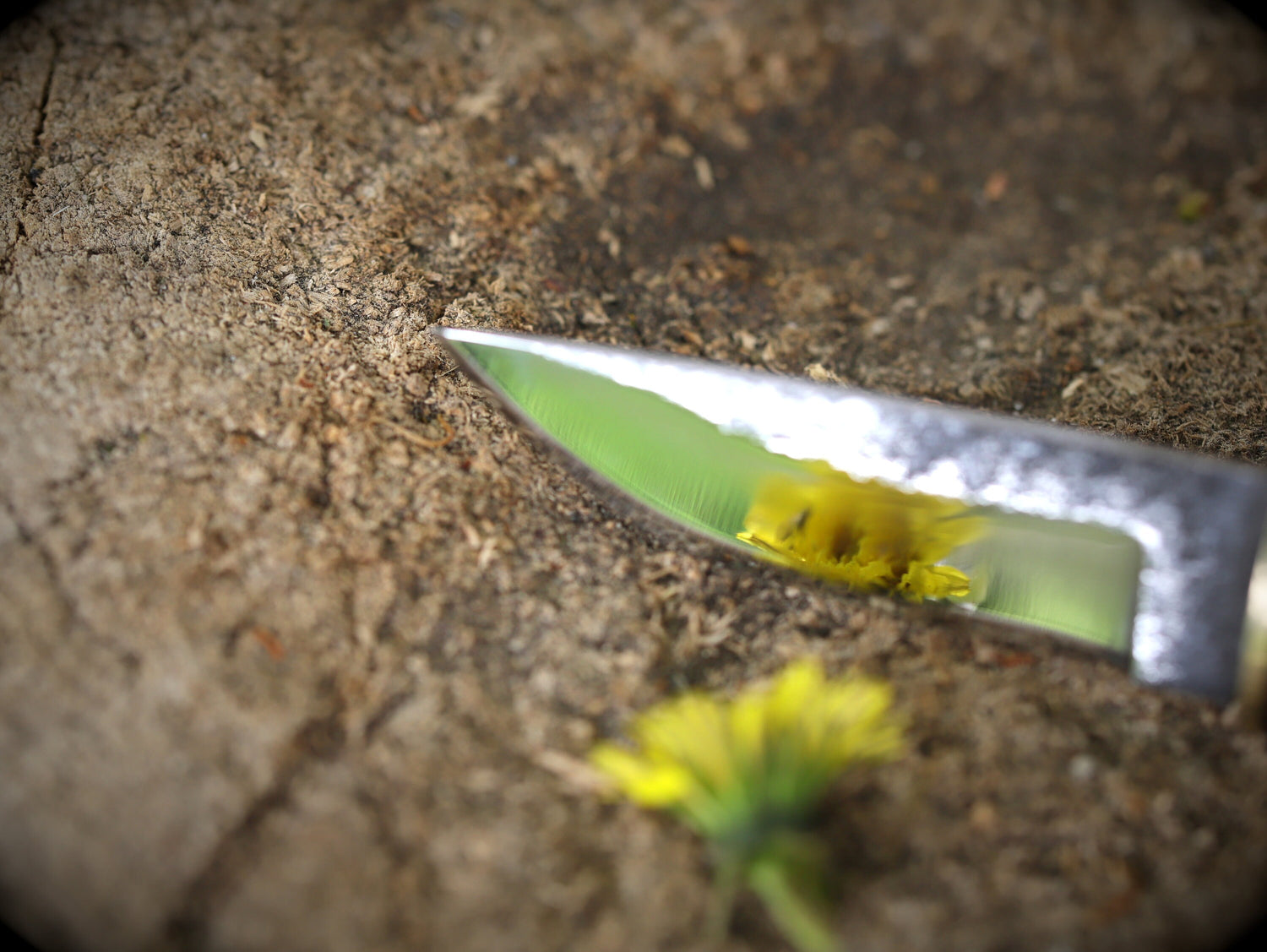 Puukko mit Lederscheide