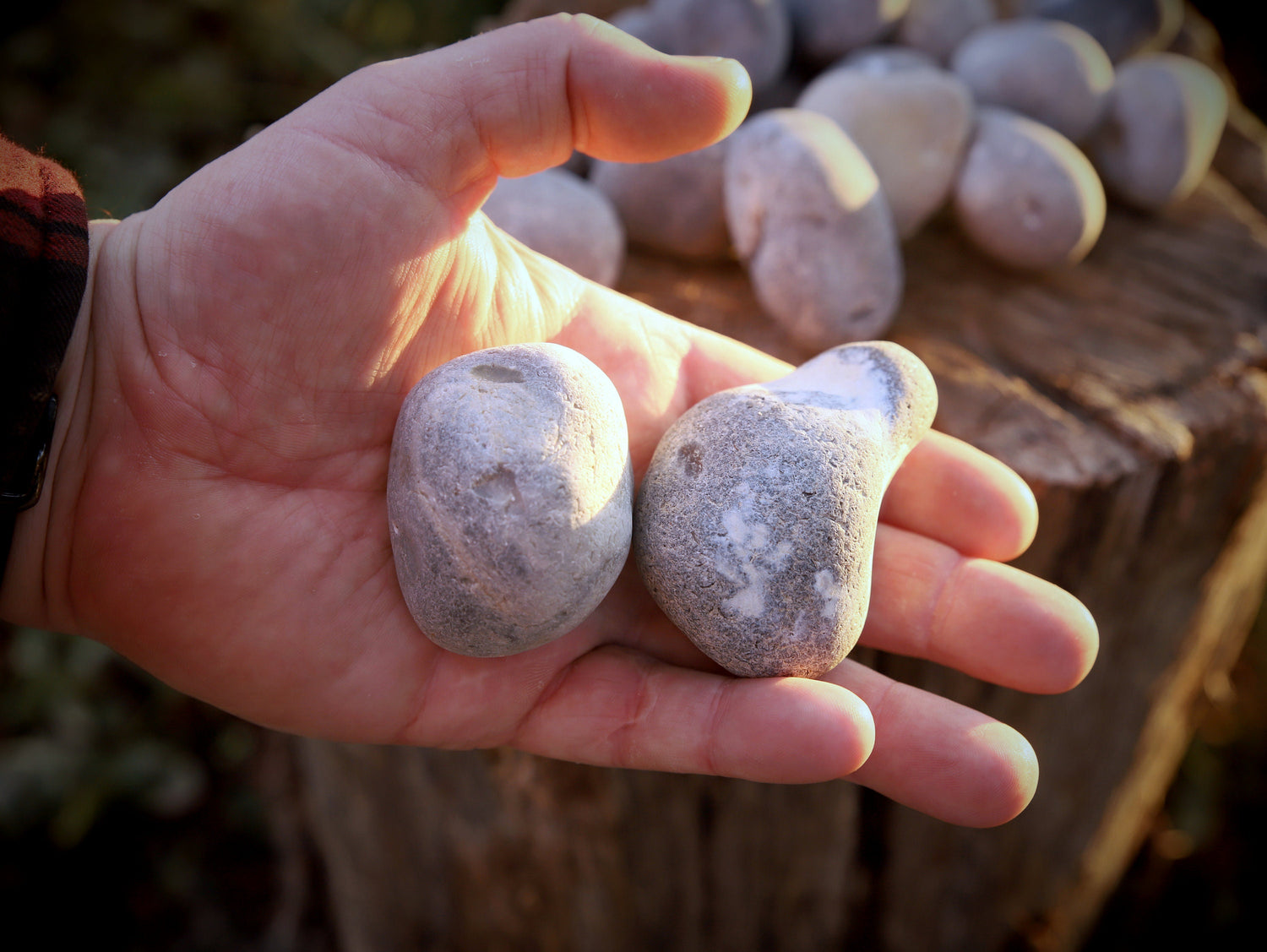Flints 