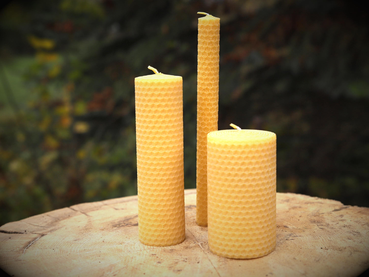 hand-rolled beeswax candle